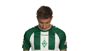 Look Up Werder Bremen Sticker by Bundesliga