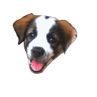 Barkieph Sticker