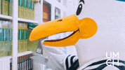 College University GIF by UMCH