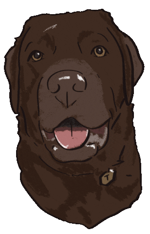 Tr1 Sticker
