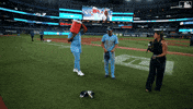 Blue Jays Baseball GIF by Toronto Blue Jays
