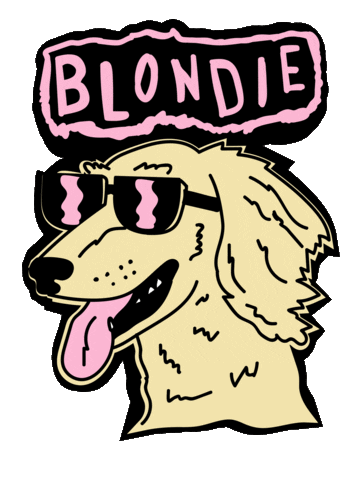 dog dachshund Sticker by beangoods