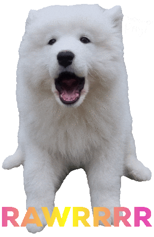Puppy Yes Sticker