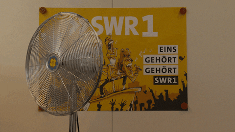 thomasgntner6178d496332a462fa8b146bebd05dcbf giphyupload summer air sommer GIF