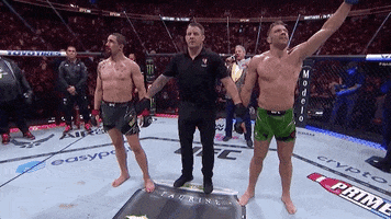 Mixed Martial Arts Sport GIF by UFC
