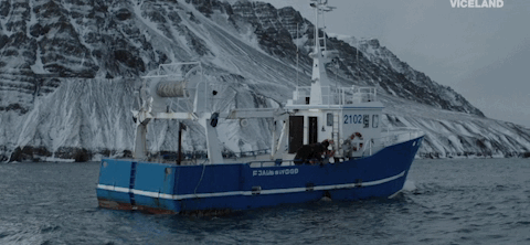 viceland GIF by Trapped