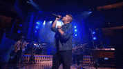 HallmarkChannel dog dogs puppy country music GIF