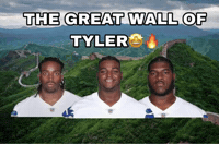 The Great Wall Of Tylers GIF