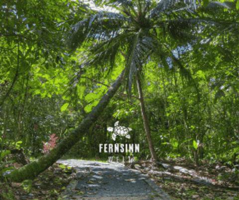 Moments Wanderlust GIF by Fernsinn Welt - ReiseBeratung Anja Horn