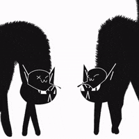 Art Loop GIF by botellalagua