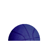 Basket Th Sticker