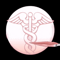 Aesthetic_Expert aesthetic expert GIF