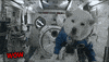 Dog Space GIF