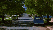 back to the future GIF