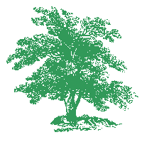Green Tree Sticker by Smiles of People
