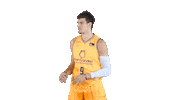 Liga Endesa Basketball Sticker by ACB