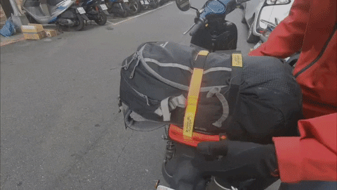 JasAlfa giphyupload GIF