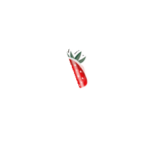 honnypon honnypon honnypon aardbei honnypon strawberry Sticker
