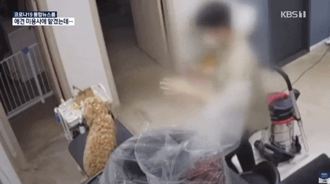 seotor_7 giphyupload GIF