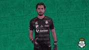 clubsantos  GIF