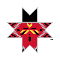 Minor League Baseball Sticker by Indianapolis Indians