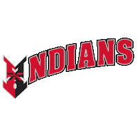 Minor League Baseball Sticker by Indianapolis Indians