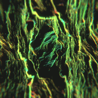 visual art processing GIF by SymmetryInChaos