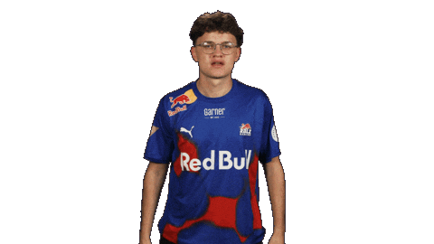 Rb Leipzig Football Sticker by Bundesliga