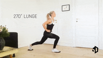 6-Directions  GIF