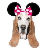 Basset Hound Polly Sticker