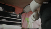 viceland GIF by Payday