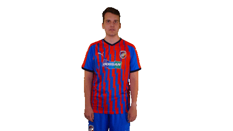 Fcvpesport Sticker by FCVP