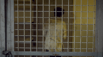 van helsing vampire GIF by SYFY