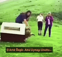 Emotional GIF by UGCPazar
