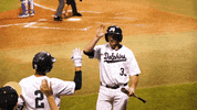 GIF by Jacksonville University