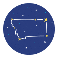 Night Sky Space Sticker by Visit Montana