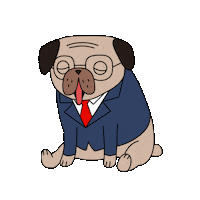 excited pug Sticker by Percolate Galactic