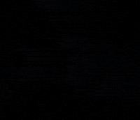 Funny Deer GIF by Wondeerful farm