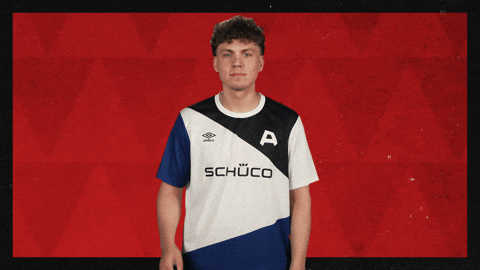 Arminia Bielefeld Football GIF by Bundesliga