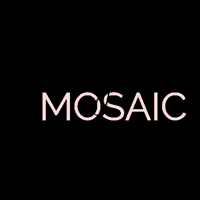 mosaicbeautyllc hair hairdresser stylist styled GIF