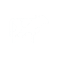 Bath Spa University Sticker by bathspauni