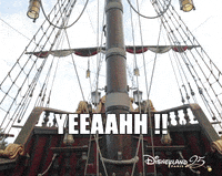 disneylandparis happy friday tgif crochet GIF