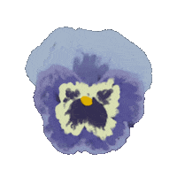 Violet Sticker
