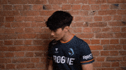 Team Esports GIF by Rogue