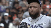 Tampa Bay Rays Reaction GIF by MLB
