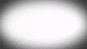 Aniversario GIF by Porta Dos Fundos