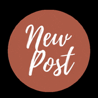 lauraomahonydotcom instagram GIF