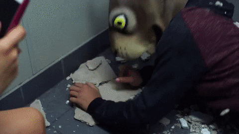 GIF by EXPELLED