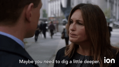 Law And Order Svu GIF by ION
