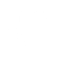 White Butterfly Sticker